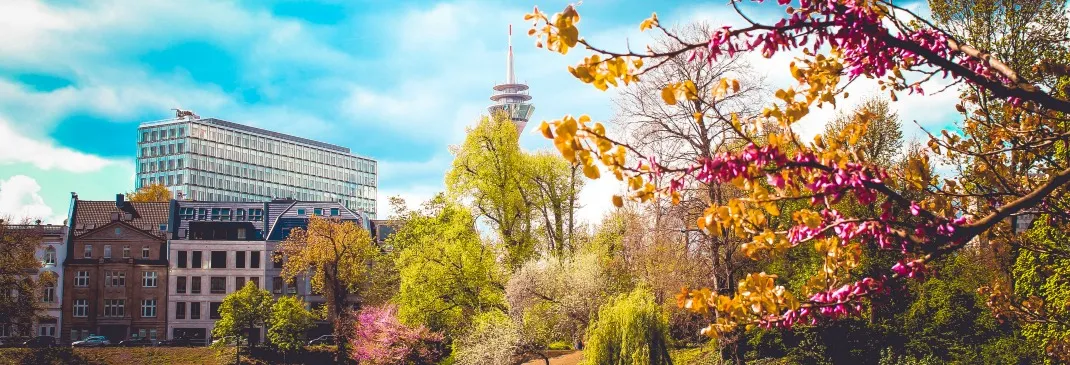 Park in Düsseldorf im Sommer.